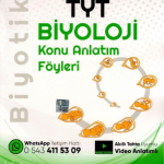 Tyt Biyotik K.A. Biyoloji - 2022